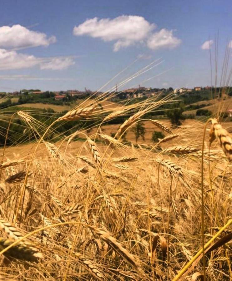Agriturismo La Corte Del Sole Siena Luaran gambar