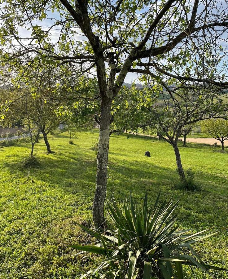Agriturismo La Corte Del Sole Siena Luaran gambar
