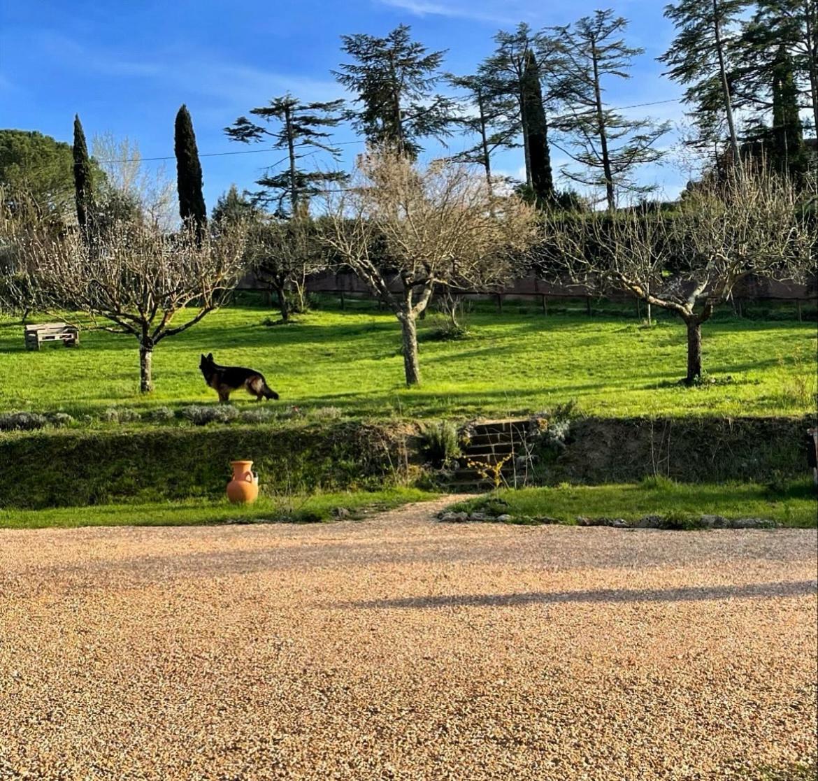 Agriturismo La Corte Del Sole Siena Luaran gambar