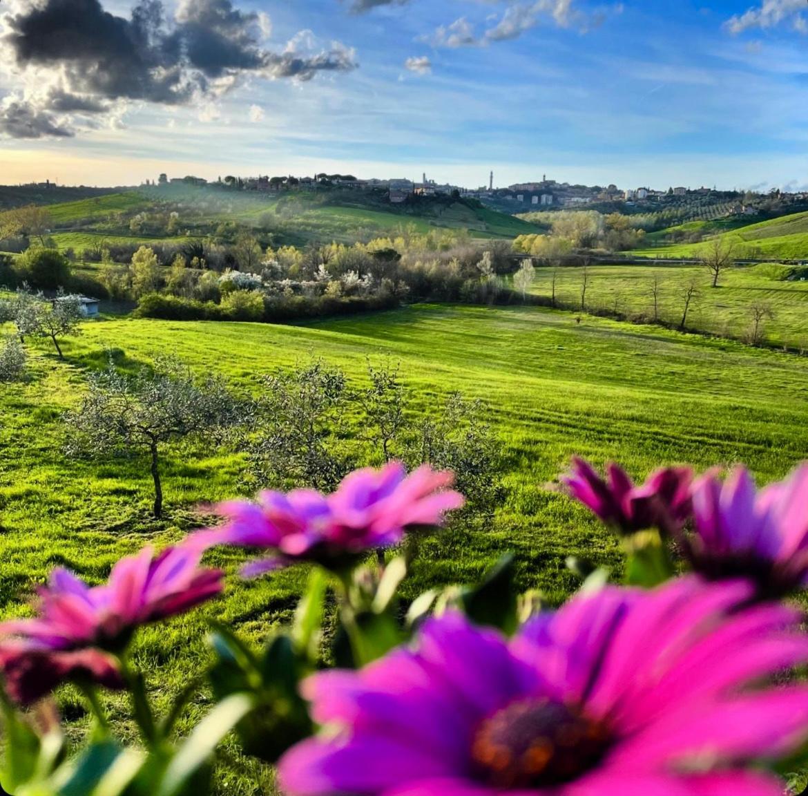 Agriturismo La Corte Del Sole Siena Luaran gambar