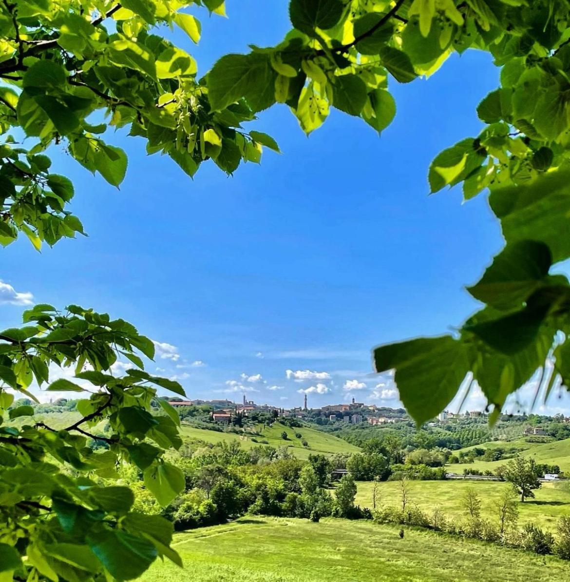 Agriturismo La Corte Del Sole Siena Luaran gambar
