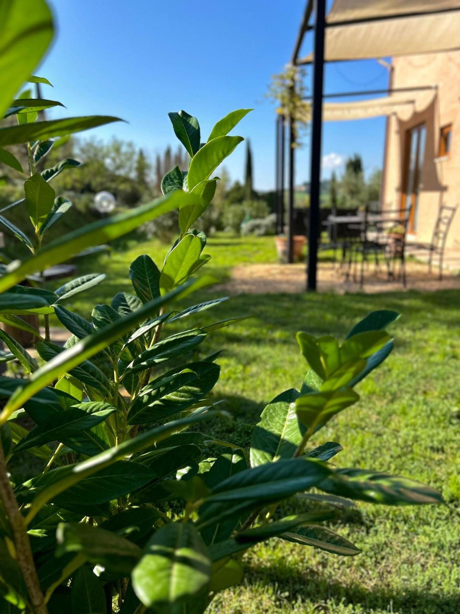 Agriturismo La Corte Del Sole Siena Luaran gambar