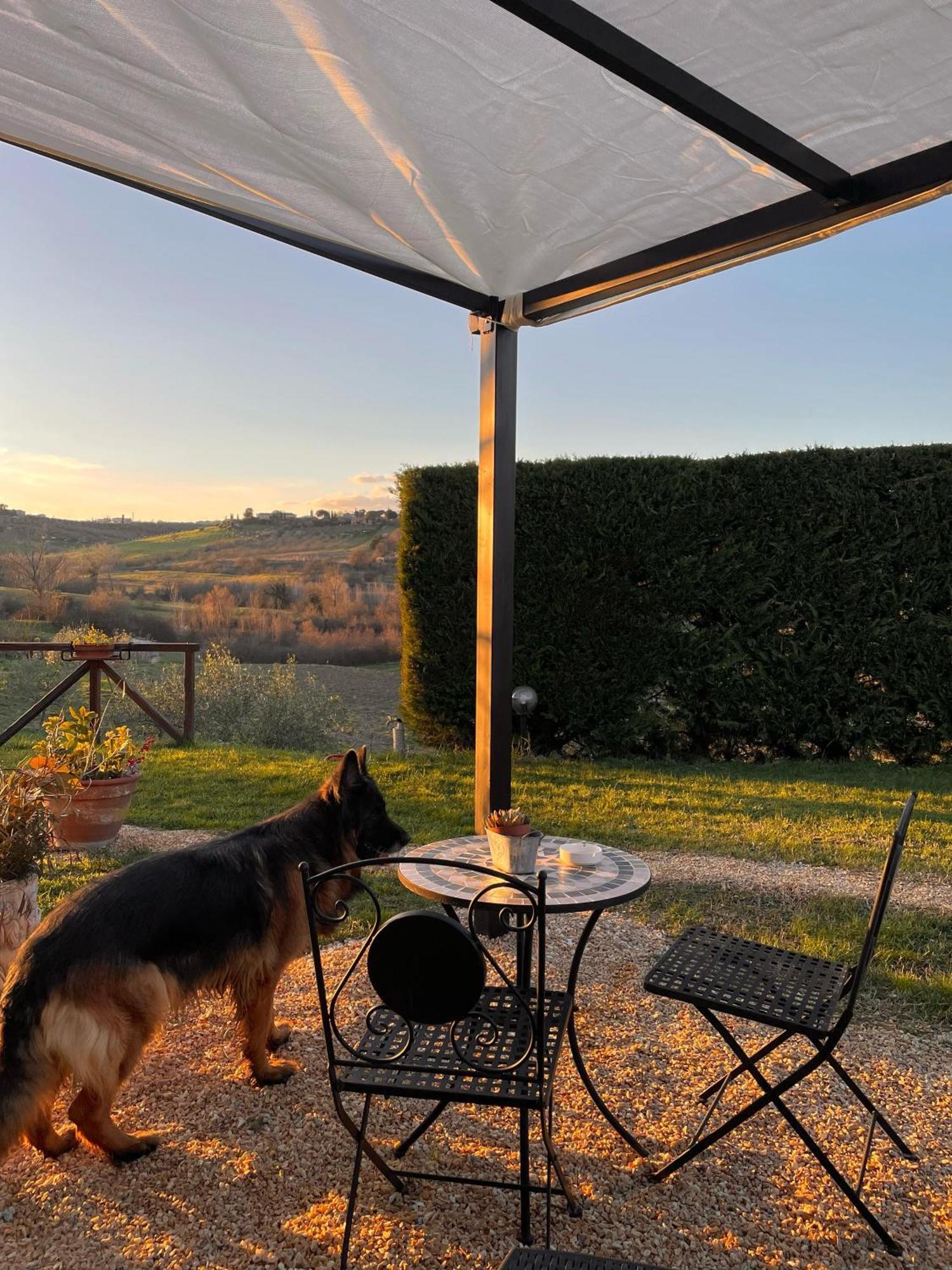 Agriturismo La Corte Del Sole Siena Luaran gambar