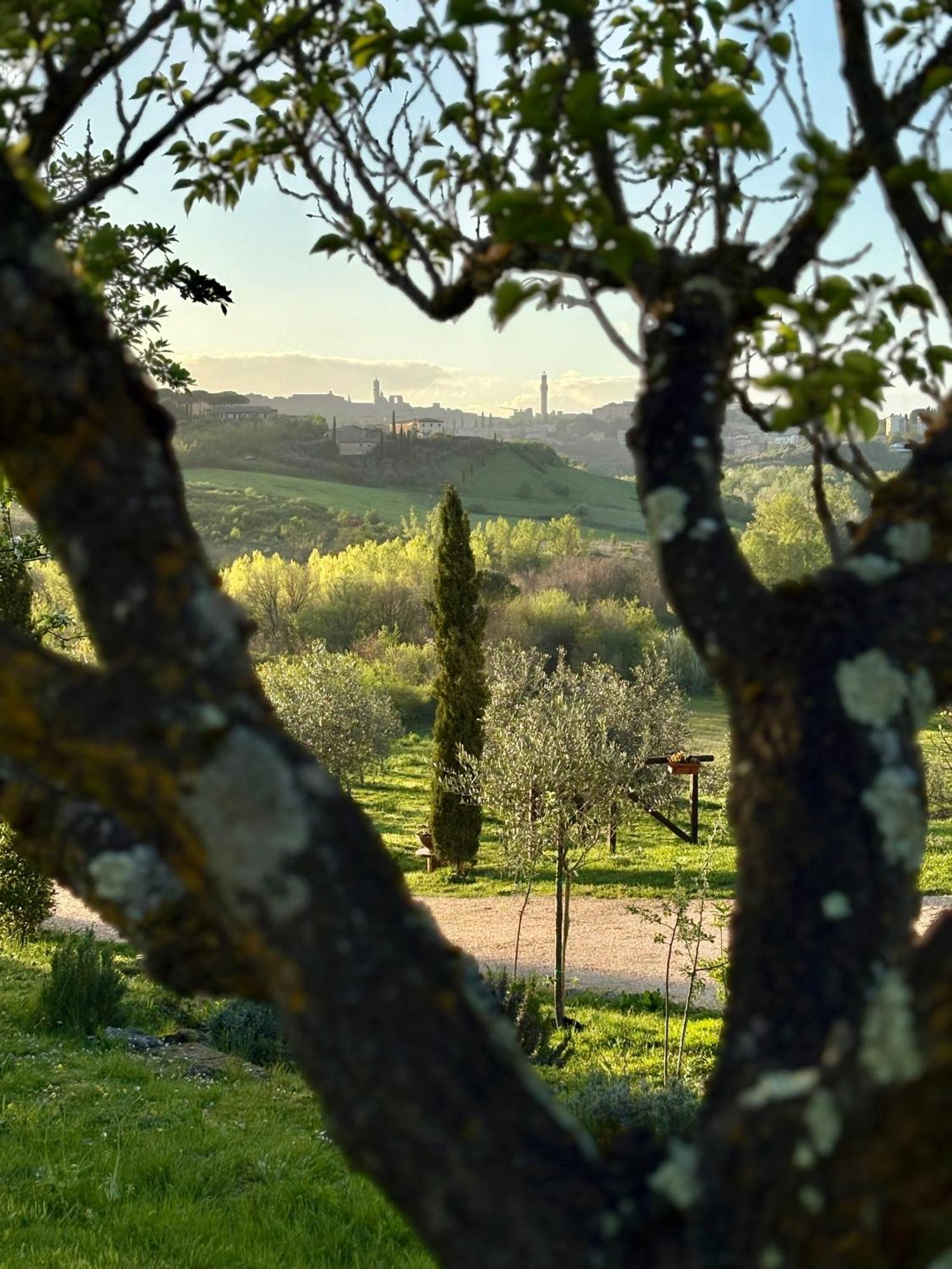 Agriturismo La Corte Del Sole Siena Luaran gambar